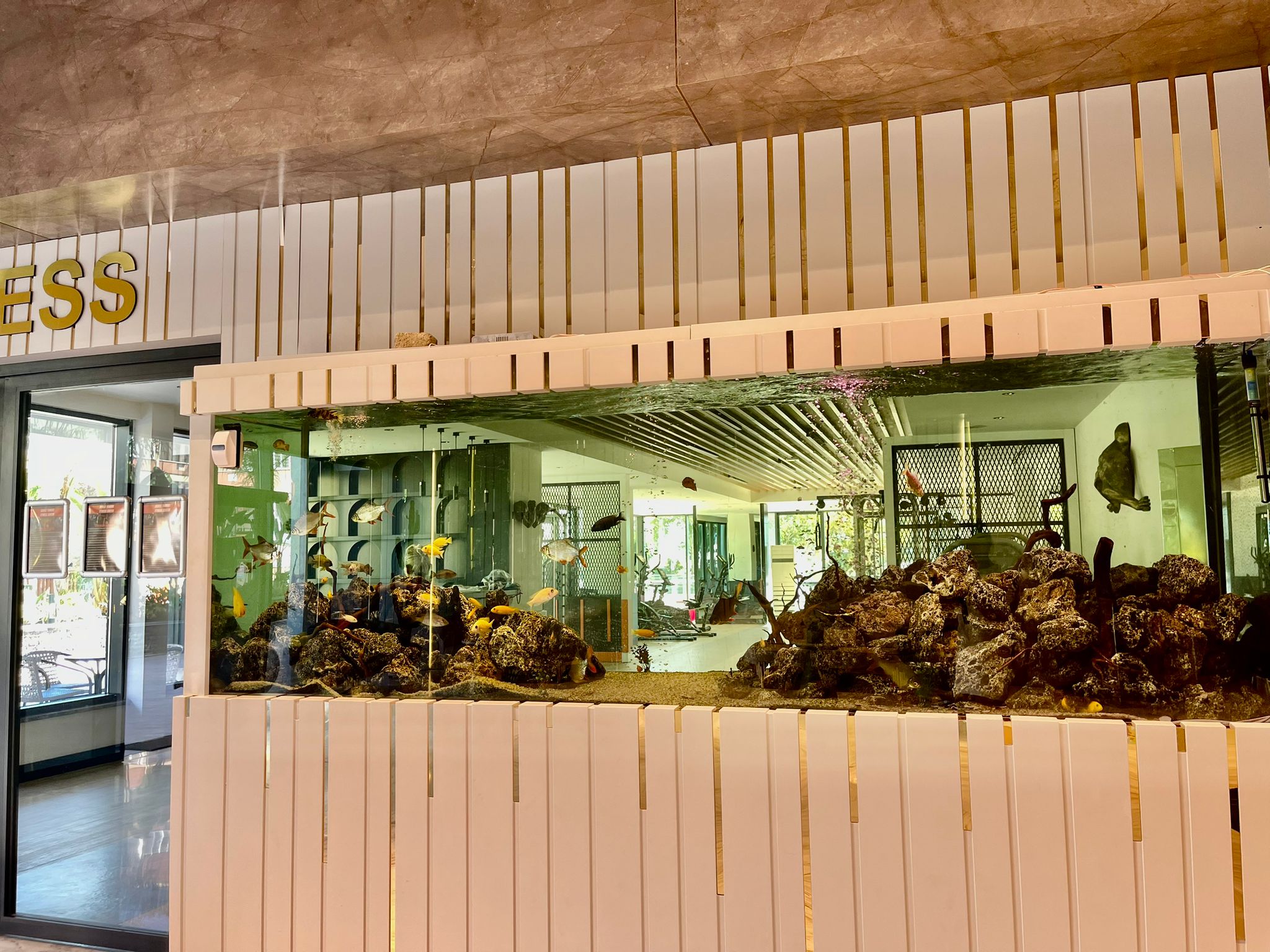 Продажа квартиры в районе Махмутлар, Аланья, Турция № 3272 - фото 33