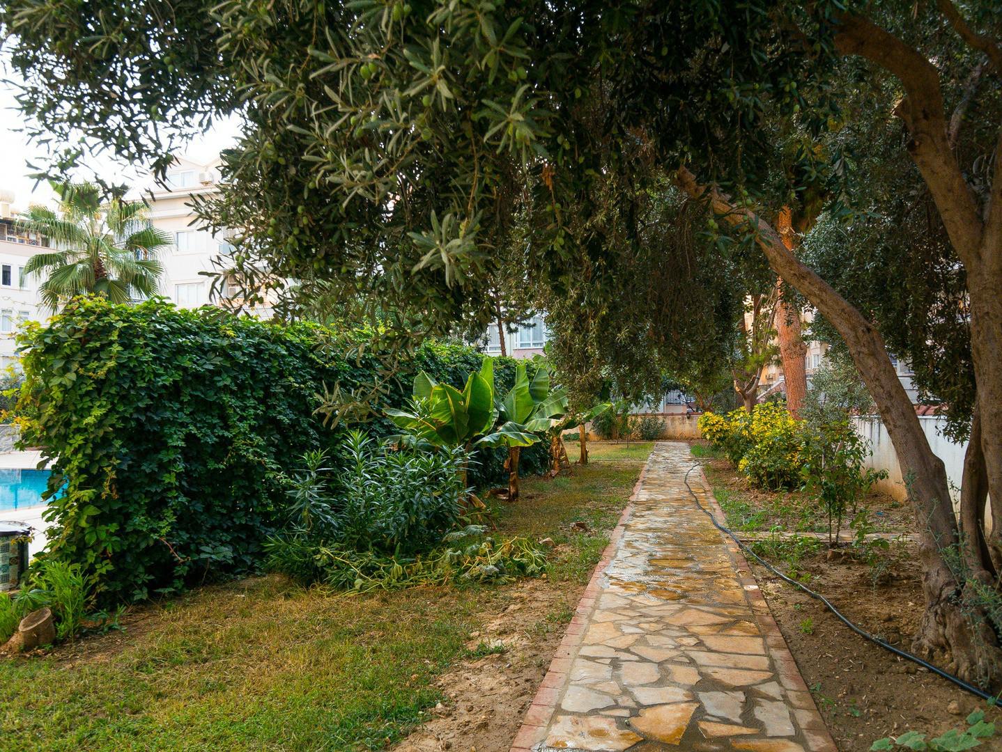 Продажа квартиры в районе Алания, Аланья, Турция № 3062 - фото 18