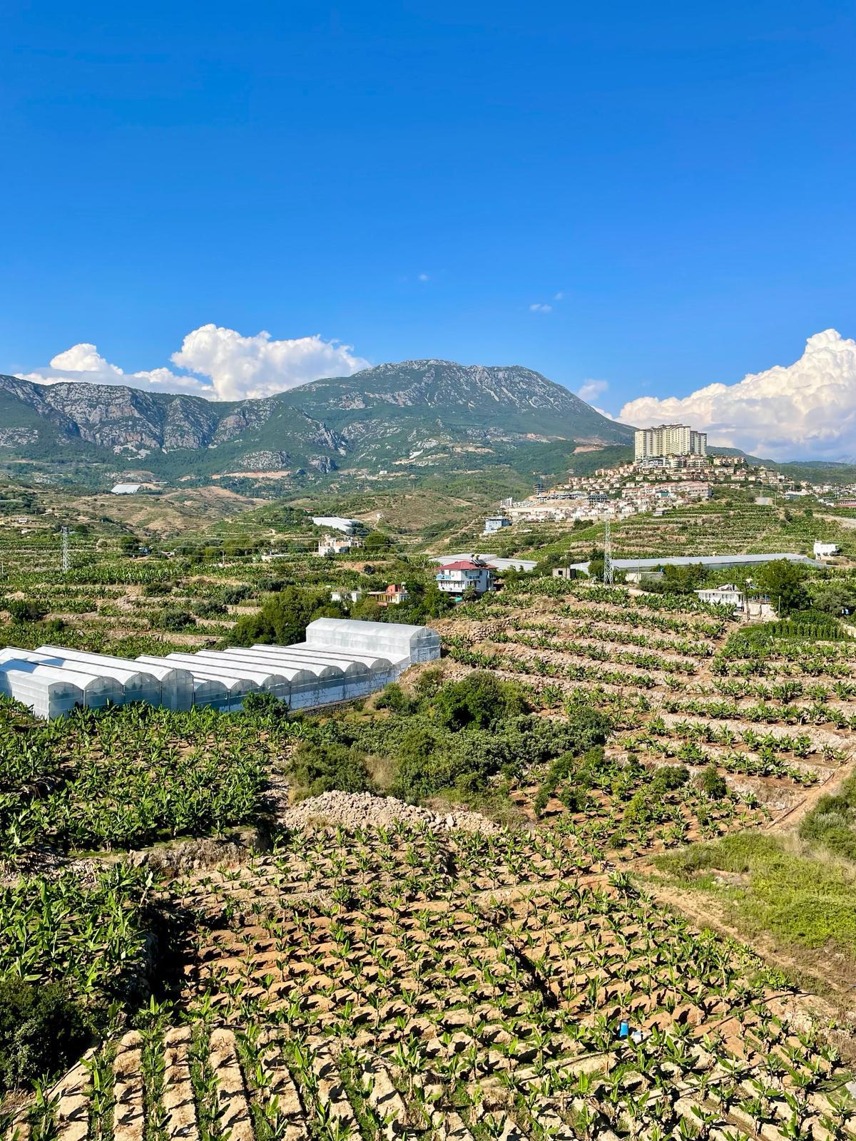 Продажа квартиры в районе Махмутлар, Аланья, Турция № 3269 - фото 11