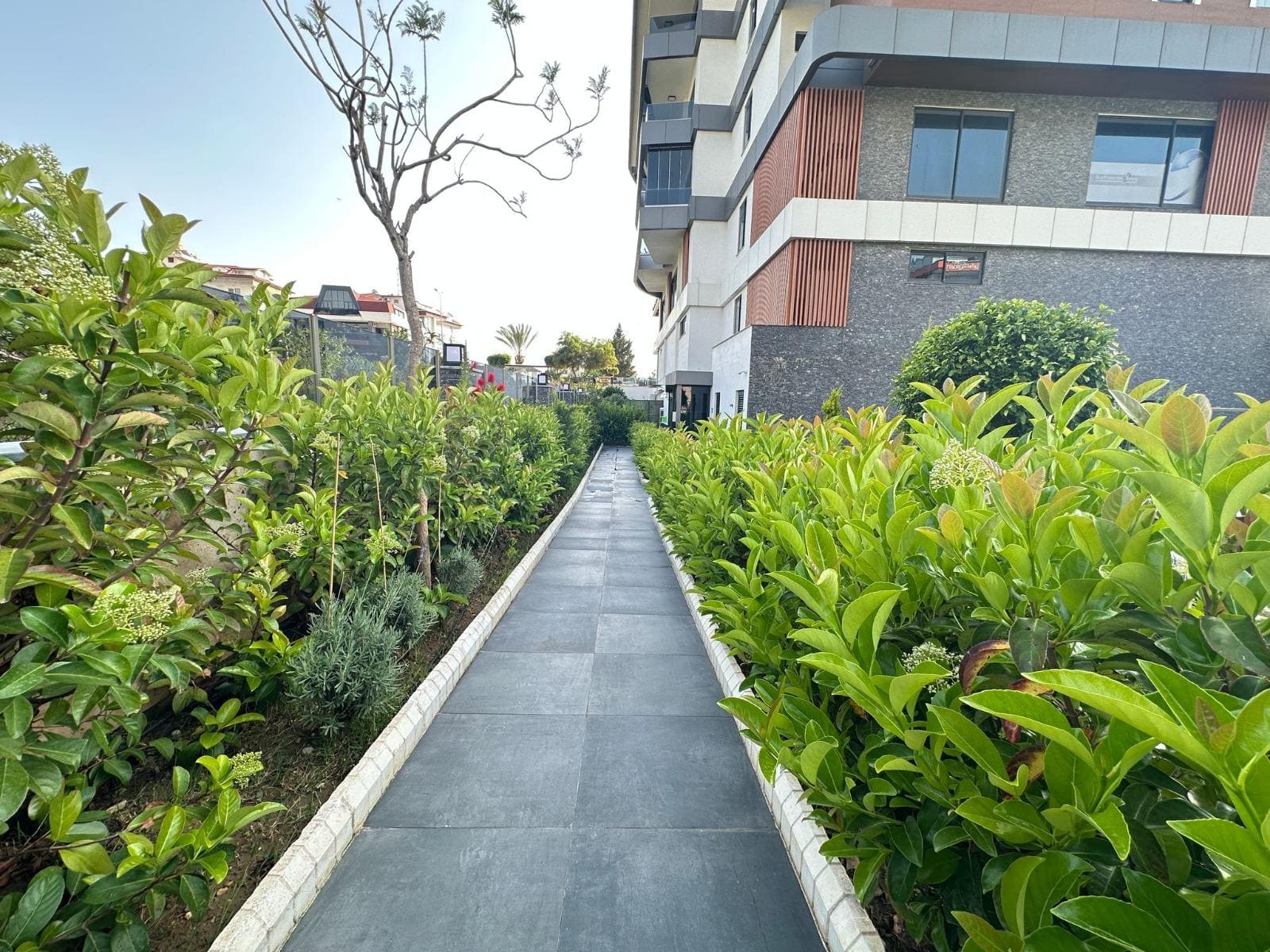 Продажа квартиры в районе Кестель, Аланья, Турция № 3154 - фото 15